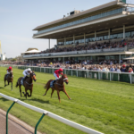 Rule 4 Deduction Application in Indian Horse Racing Betting